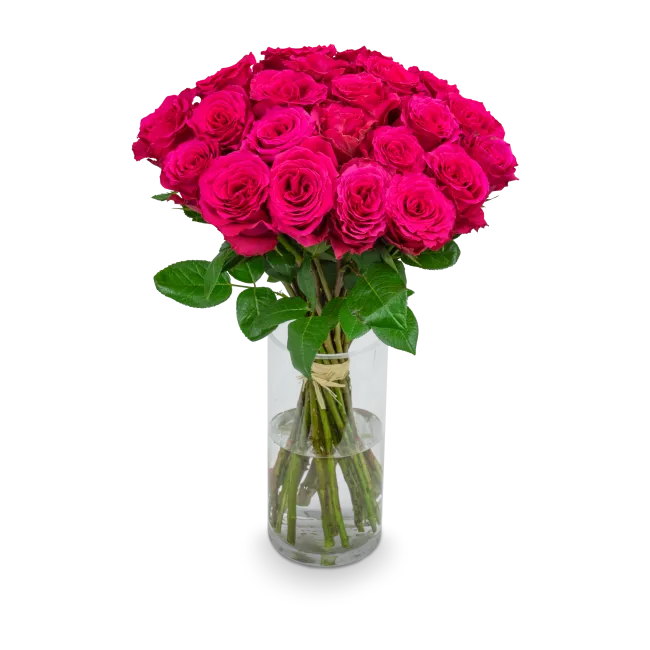 Bouquet of pink roses